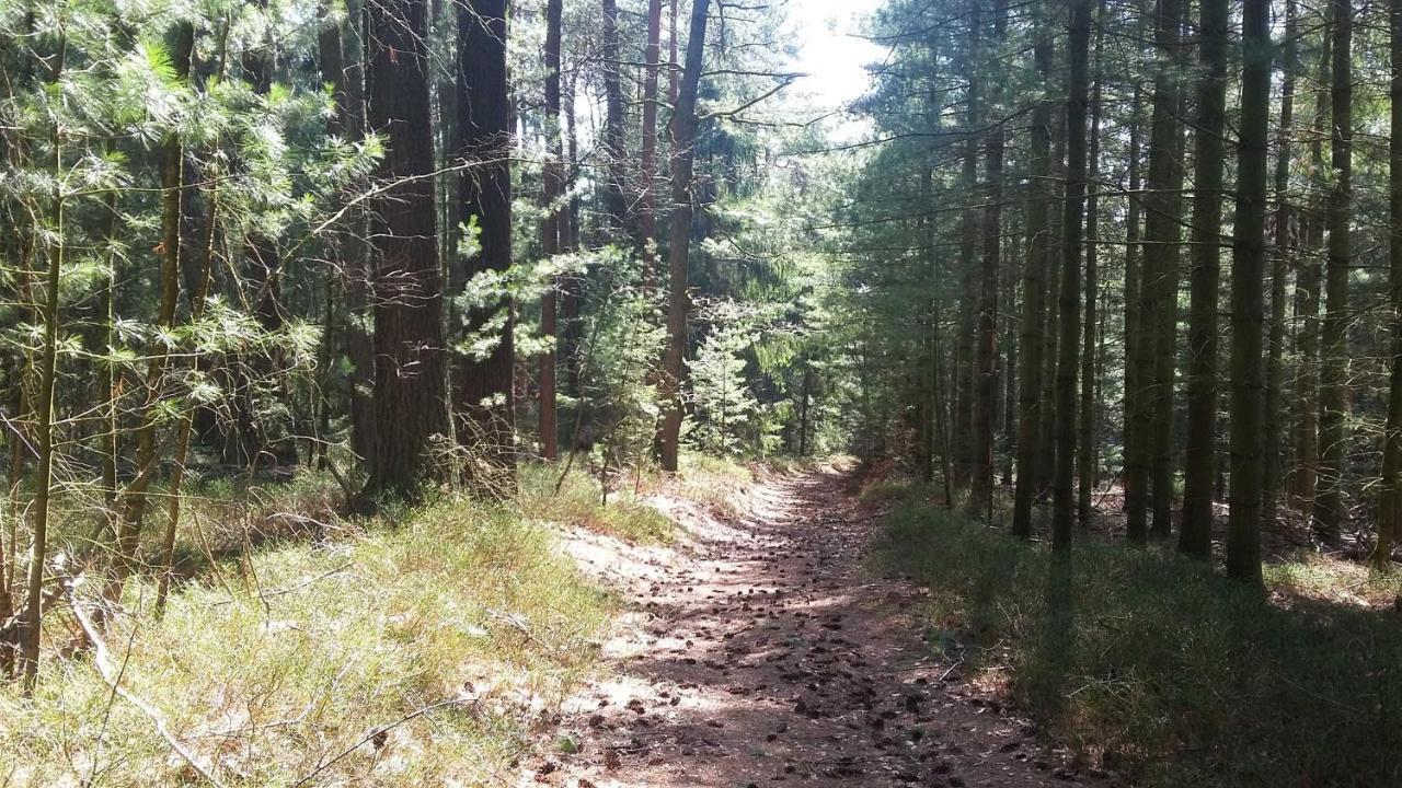 Ferienwohnung Hammergrund Mossautal Exteriör bild